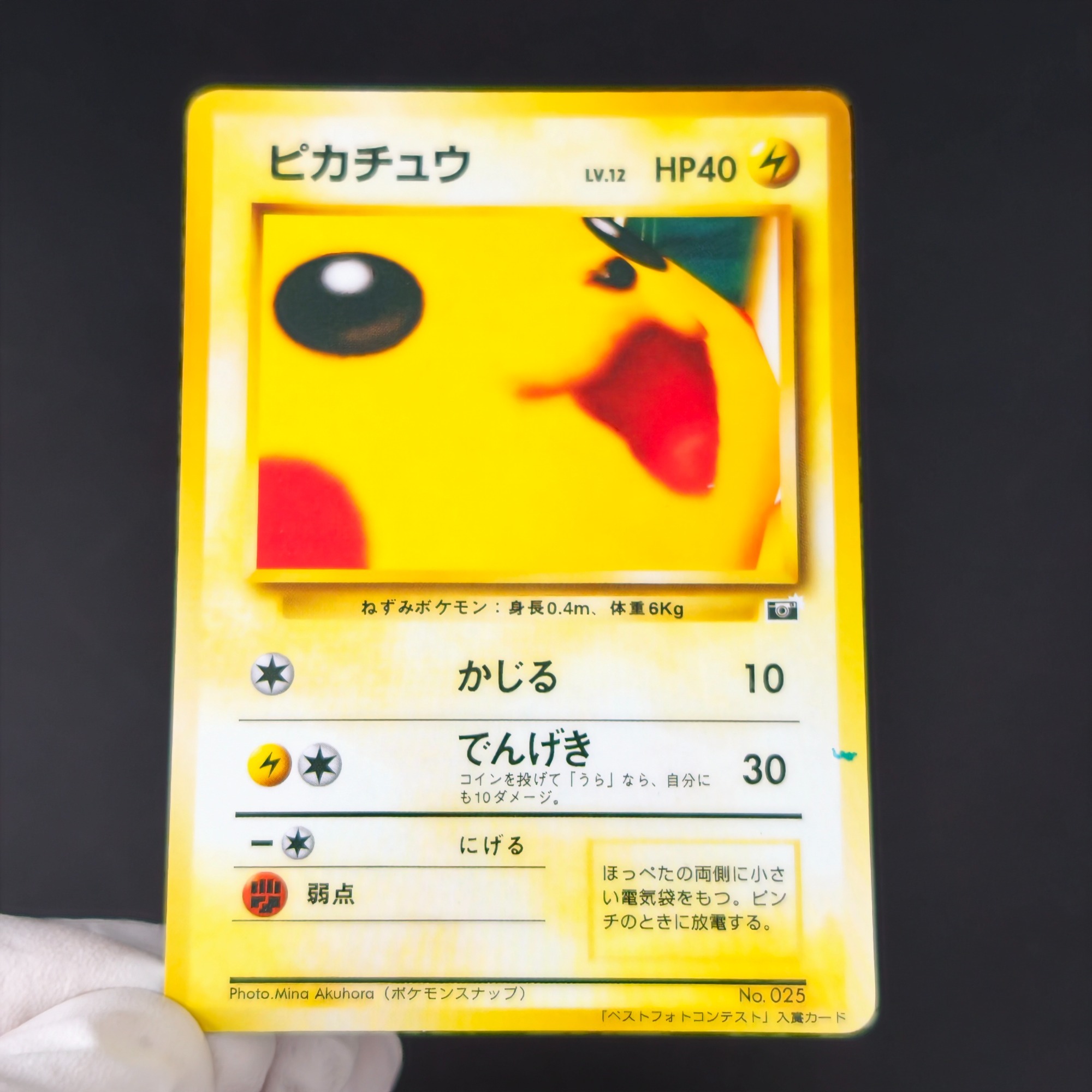 Retro Gaming Pokemon - 10 ชิ้นโปเกมอน วินเทจ บอย บูลบาซอร์ ชาร์แมนเดอร์