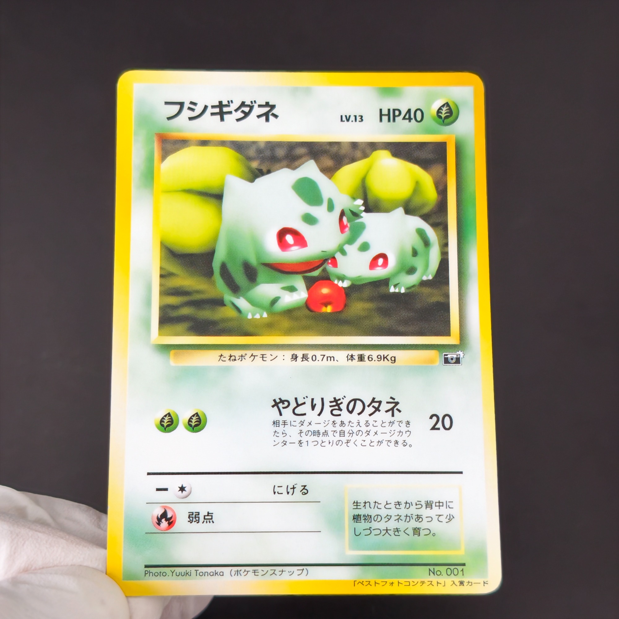 10 ชิ้นโปเกมอน วินเทจ บอย บูลบ - Retro Gaming Pokemon บทวิจารณ์และราคา